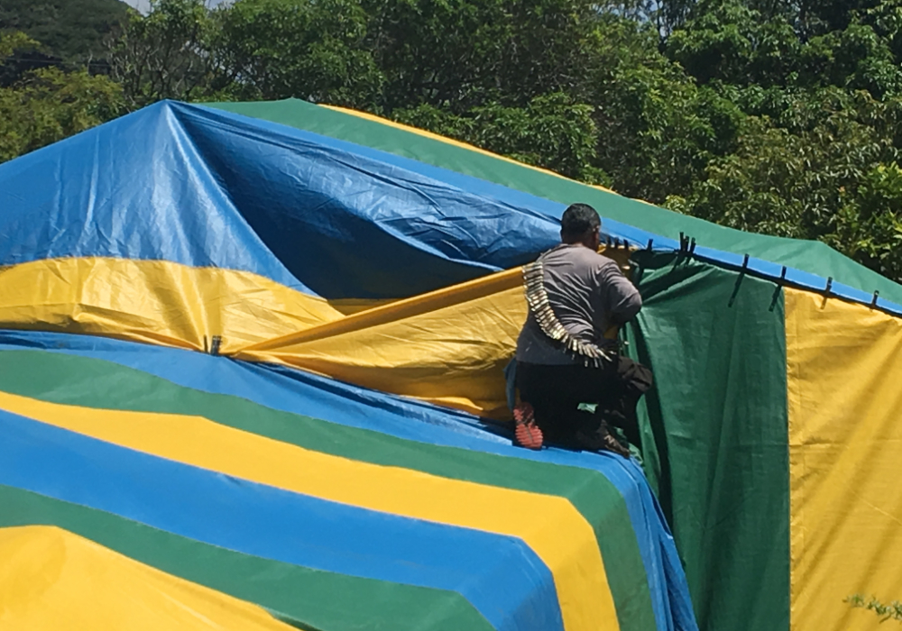 services menehune pest management hi