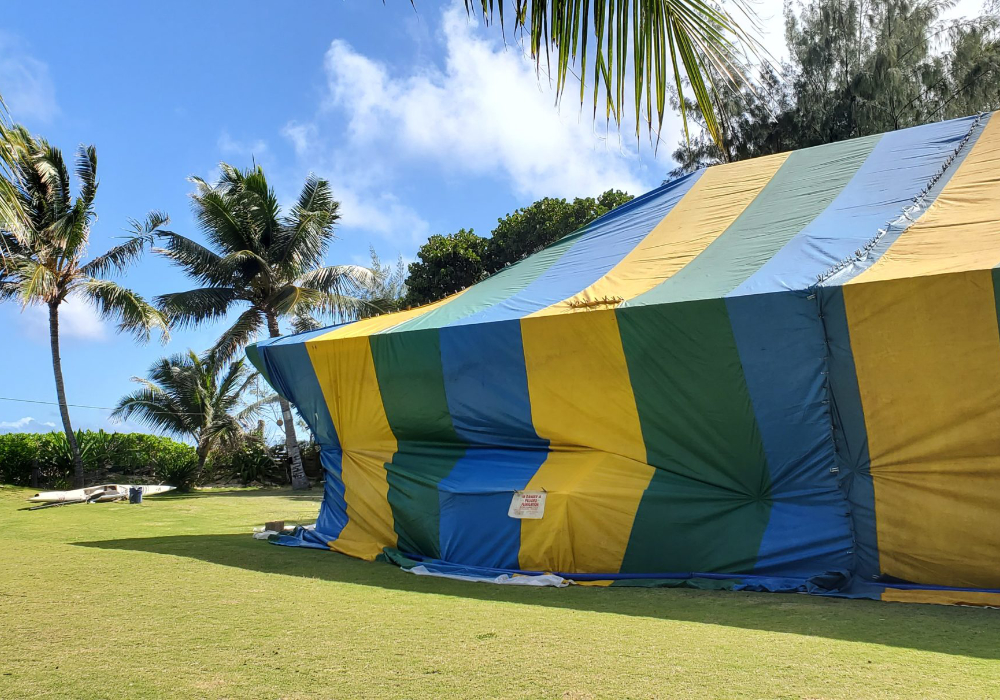 gallery menehune pest management hi